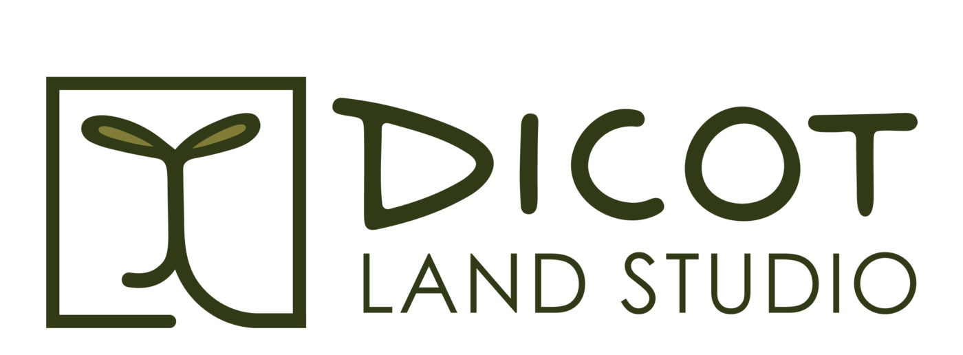 Dicot Landscape Studio